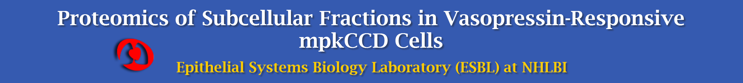 Database of Transportation Protein in Kidney